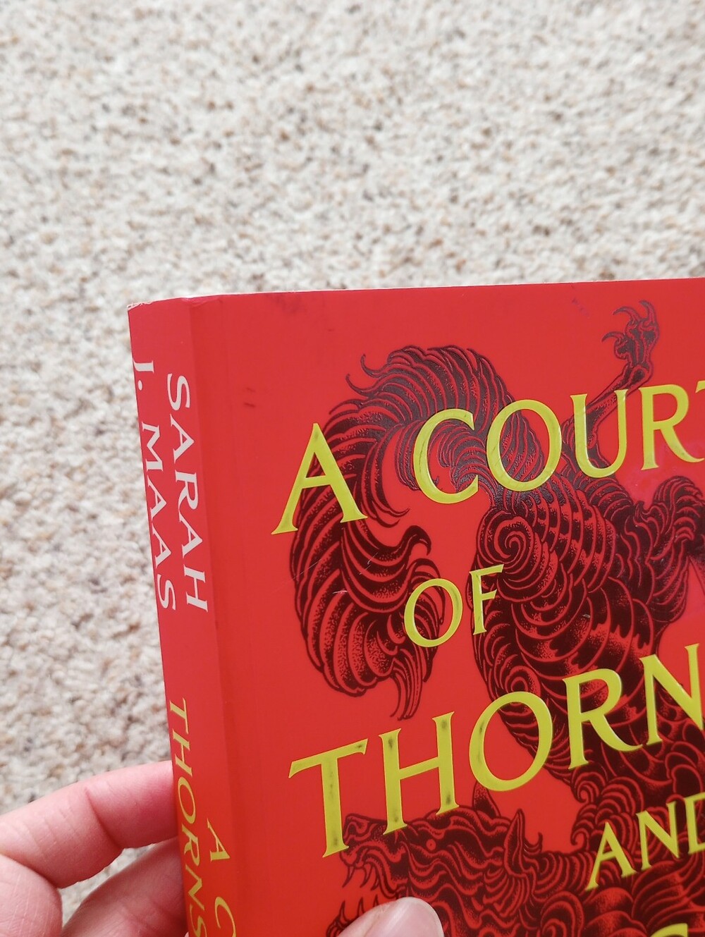 A Court Of Thorns And Roses Sarah J. Maas Book Fantasy Romance - Picture 2 of 12